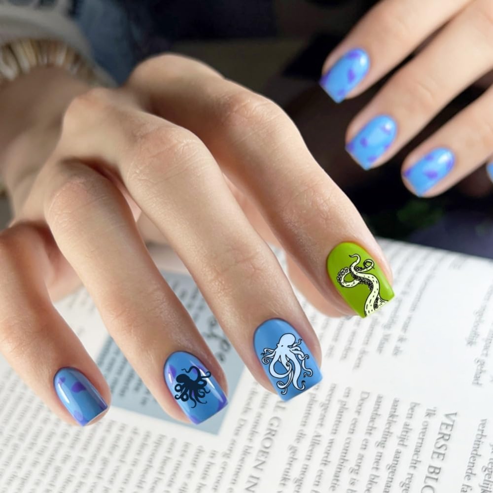 5 pçs oceano tema carimbo de u - Nail Art Stamping Kit avaliação e preço