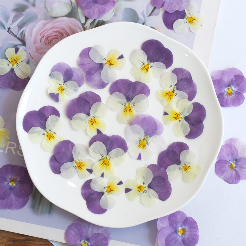 12pçs, natureza amor-perfeito  - Photo Beauty Makeup avaliação e preço